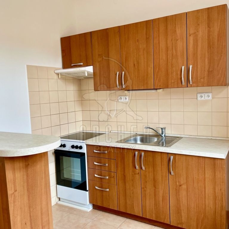 Pronájem bytu 2+kk 46 m², Vlkova 619, Praha - Photo 1