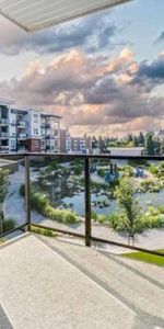 Port Coquitlam, new 2 bedroom unit, fenced, 1 min to transit - Photo 3