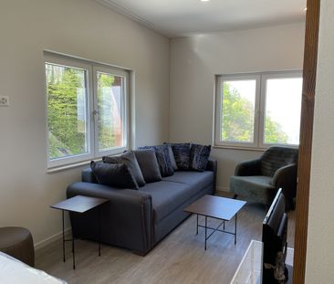 Rent a 1 room apartment in Wienacht-Tobel - Photo 3