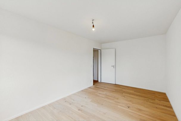 3.5 Zimmer, 76 m², 1. Stock - Foto 1