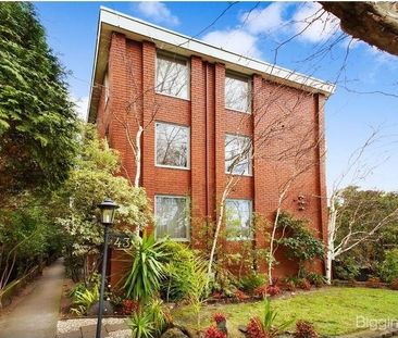 15/43 Rockley Road, South Yarra VIC 3141 - Apartment For Rent | Domain - Photo 1