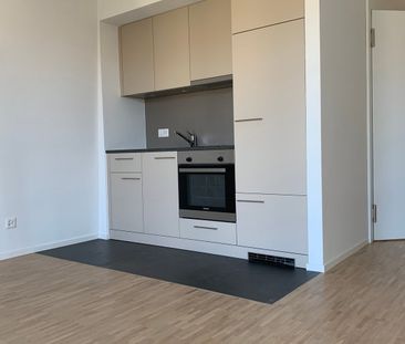 Appartement de 1.5 pièces au 4ème étage - Photo 5