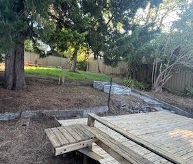 35 Hocking Avenue, Earlwood NSW 2206 - House For Rent | Domain - Photo 4