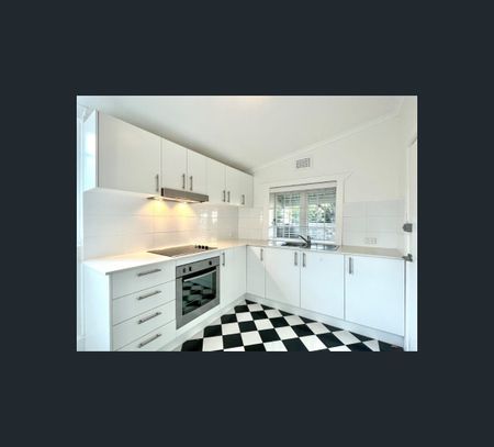 3/16 Coleridge Street, Leichhardt, NSW 2040 - Photo 4