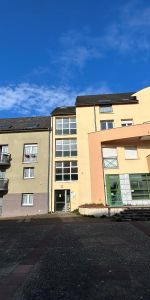 Location Appartement 1 pièce 22m² DAMIGNY 61250 - Photo 3