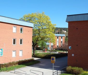 Storgatan 31 A - Foto 2