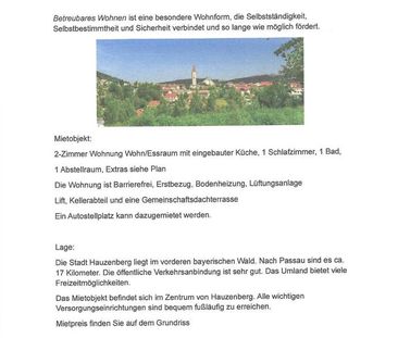 2 Zimmer Whg mit Betreungsmöglichkeit in Kleinstadt im Bay. Wald - Foto 1