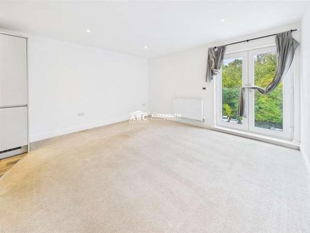 Soothouse Spring, St. Albans, AL3 - Photo 4