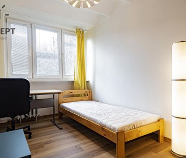 3 rozkładowe pokoje - 5 min od Sky Tower - Photo 1