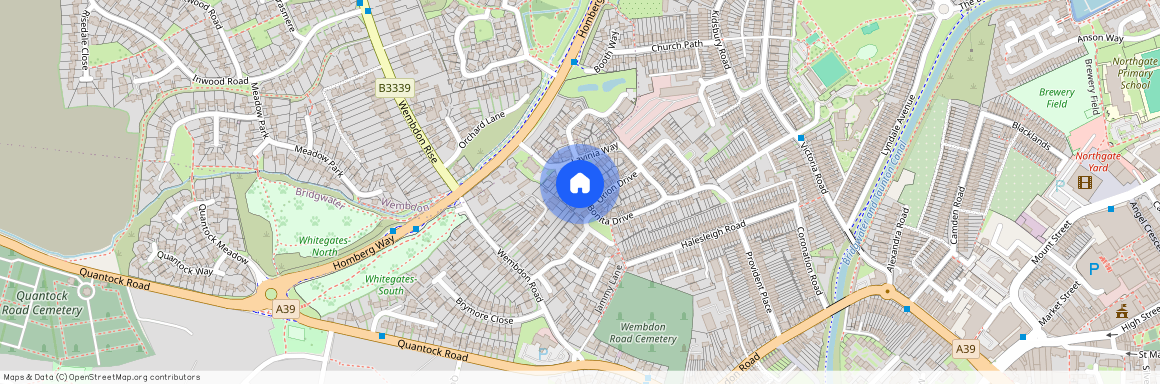 Bonita Drive, Wembdon, Bridgwater, Somerset, TA6