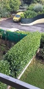 Location Appartement - Photo 4