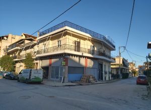 Διαμέρισμα για ενοικίαση - Καρδίτσα, - Photo 5