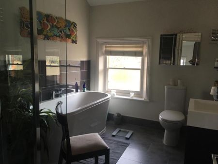 Lovely double room in Crystal Palace - Photo 5