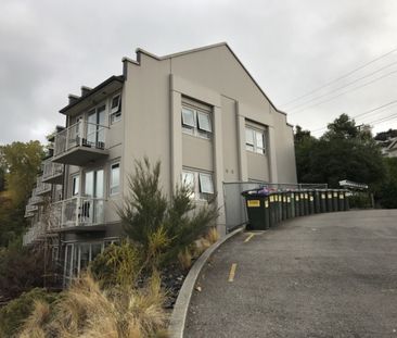 Room 13D/73 Buccleugh Street, North East Valley, Dunedin City - Photo 3