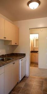 LARGE 1 BEDROOM 862 SQ-FT GARDEN APARTMENTS FOR RENT - Photo 4