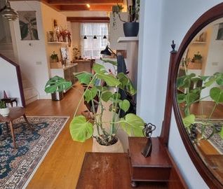 Te huur: Huis Smidssteeg 11 in Leiden - foto 3