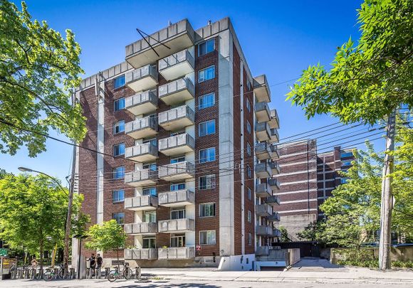 1595 Rachel, Montréal, QC - Photo 1