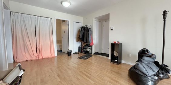 Antoine-du Verdier Appartement 4 ½ à Louer Sainte-Foy / Sillery Novembre 2026 - Photo 3