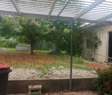 444 Schubach Street, East Albury, NSW 2640 - Photo 6