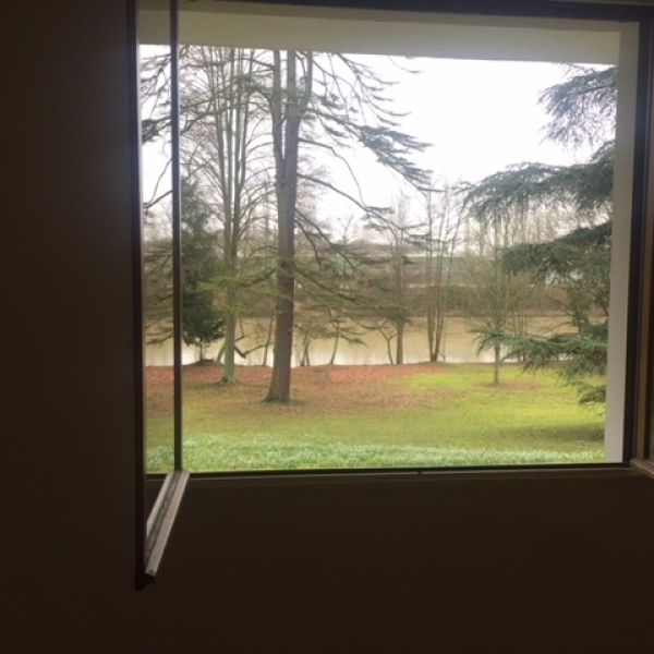 Location Appartement 1 pièce 25m² OLIVET 45160 - Photo 1