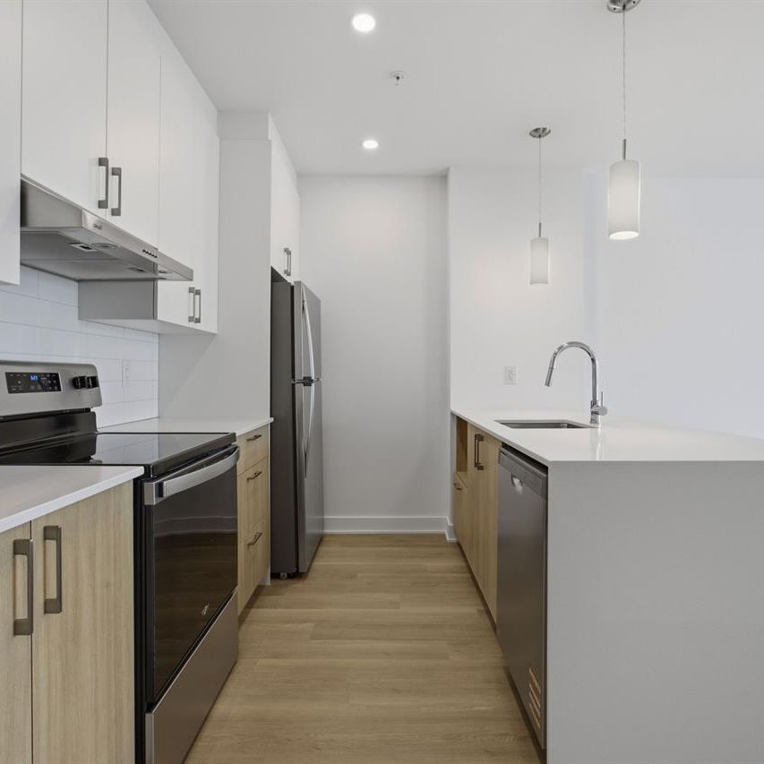 1 CH - 1 SDB - Montréal - $1,650 /mo - Photo 1