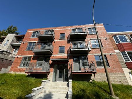 Appartement à louer, Montréal (Ville-Marie) - Photo 4