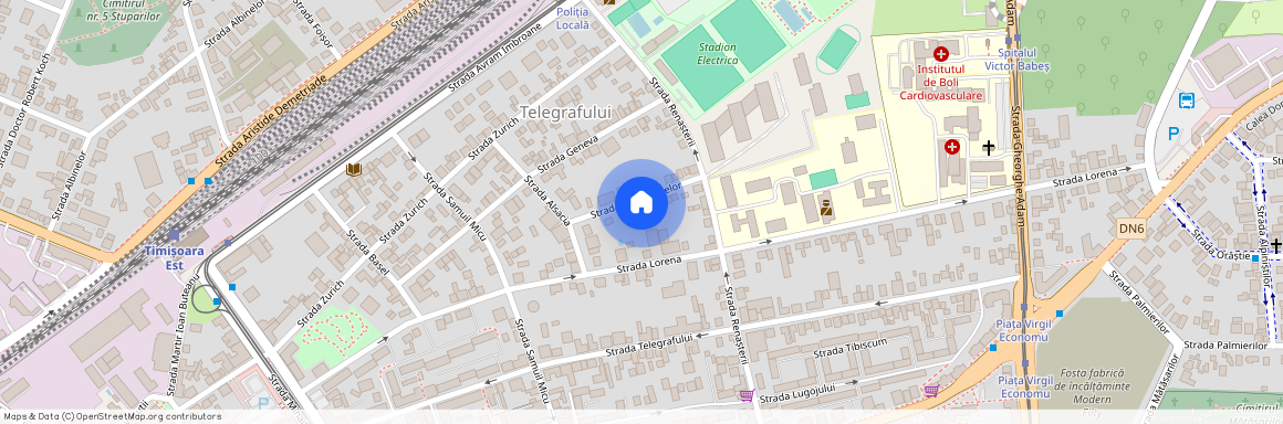Timis, Timisoara