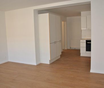 Gravene - Photo 2