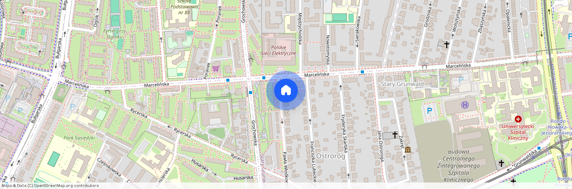 Ostroróg, Grunwald, Poznań, wielkopolskie