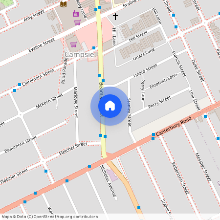 393 Beamish St, NSW 2194, Campsie