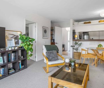 Tidy 1 Bed! - Heart of Mt Eden! Short term - Photo 1