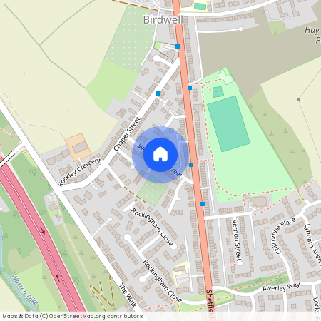 Wentworth Street, Birdwell