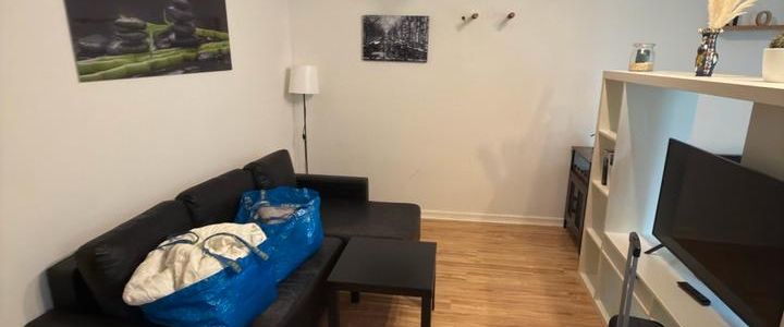 Fully Furnished 1-Bedroom Apartment in Frankfurt - Photo 1