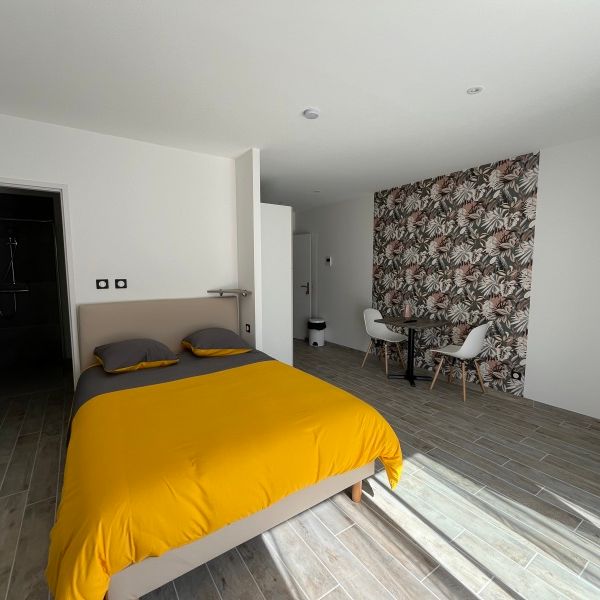 Location Appartement 1 pièce 30m² CARMAUX 81400 - Photo 1