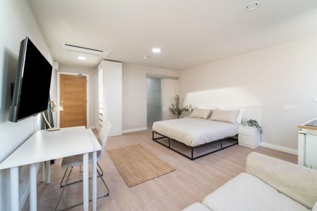 Deluxe Studio - Photo 5