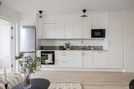 Gustavas plats 31 - Foto 5