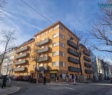 Tolle Singlewohnung unbefristet und ruhig gelegen - Foto 4