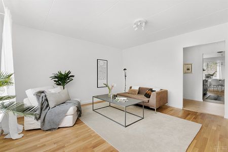 Timmermansgatan 20 - Foto 5
