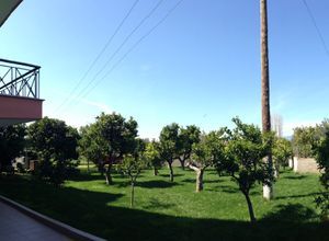 Διαμέρισμα για ενοικίαση - Αίγιο, - Photo 5