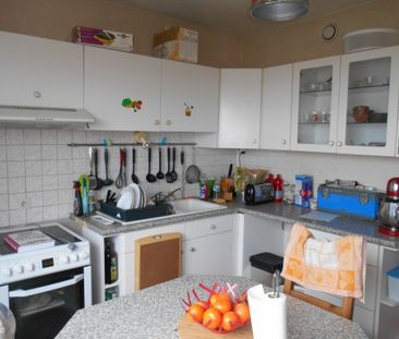 Location Appartement 1 pièce 47m² VILLERS LES NANCY 54600 - Photo 3