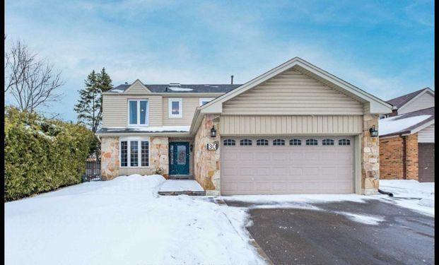 For Lease - 30 Markham Street, Brampton, Ontario - Photo 1