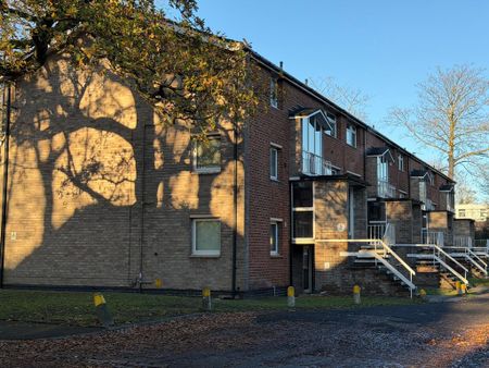 1 Bedroom Flat For Rent - Photo 4