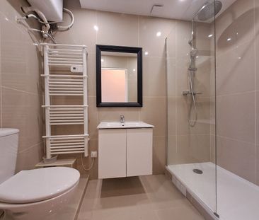 Location Appartement 1 pièce 20m² - Photo 3