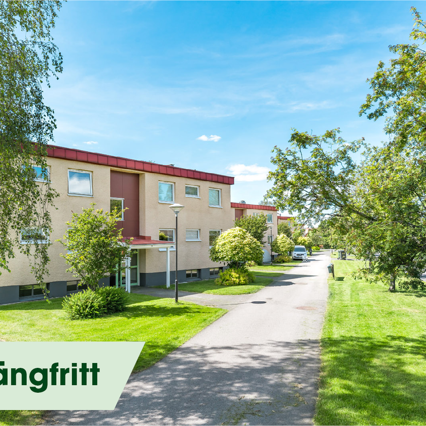 Fridhemsgatan 14 - Foto 2