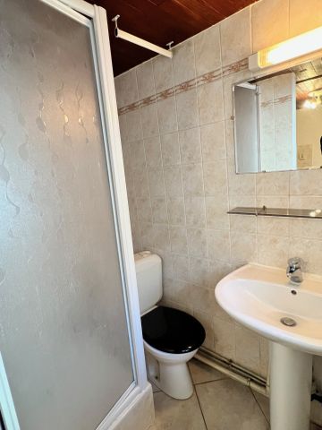 Location Appartement 1 pièce 17m² GRENOBLE 38000 - Photo 3