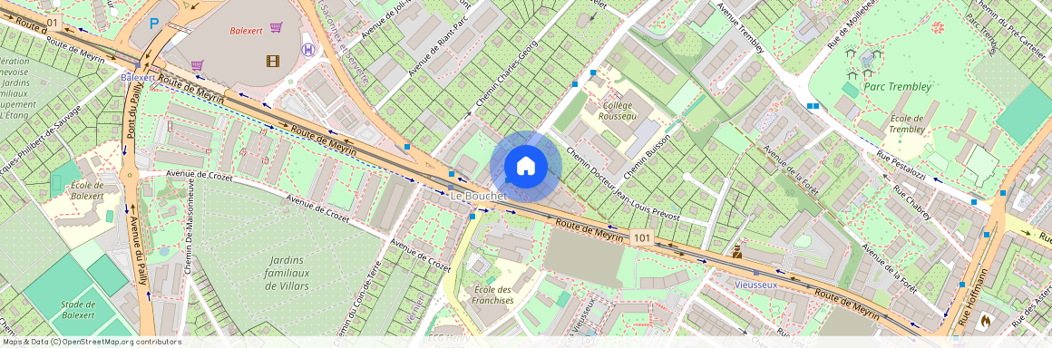 Avenue du Bouchet 4, 1209 Genève