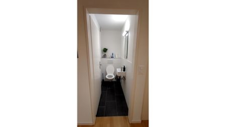 2½ Zimmer-Wohnung in Dübendorf (ZH), möbliert, auf Zeit - Foto 5