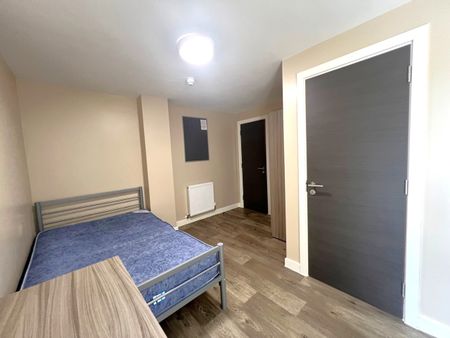 6 Bed Flat, Stokes Croft, BS1 - Photo 5