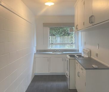 This downstairs, recently refurbished unit is a must have gem! - Photo 2