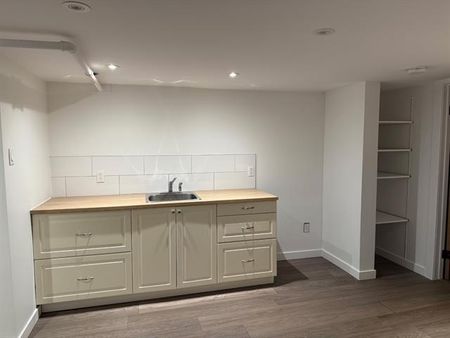 126 Rue Mont Royal - Photo 2